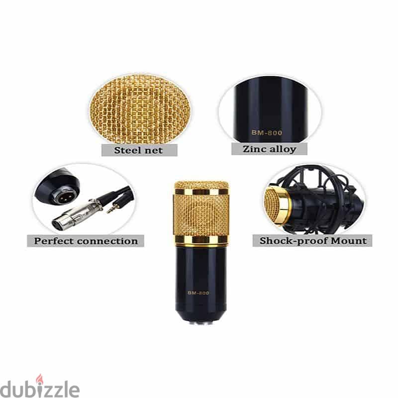 BM 800 Microphone 1