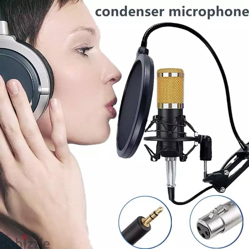 BM 800 Microphone 2