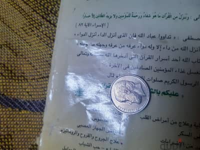 القاهرة البساتين