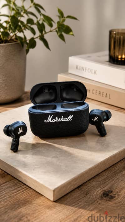 premium earbuds
