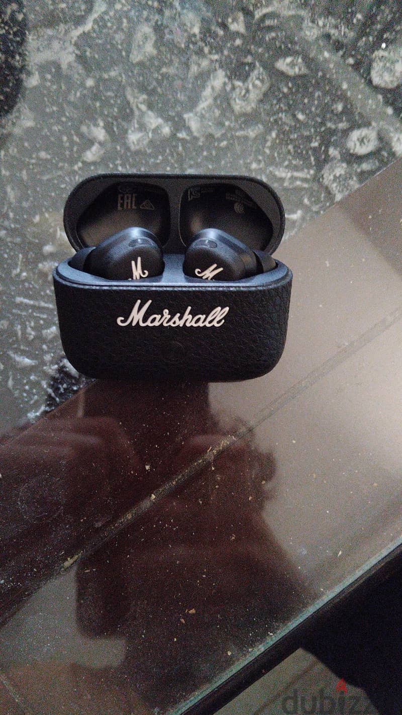 premium earbuds 2