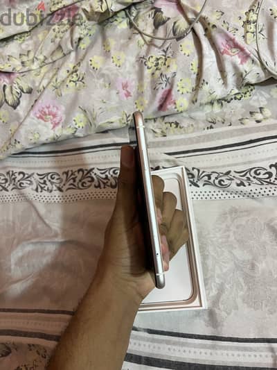 آبل - آيفون 11