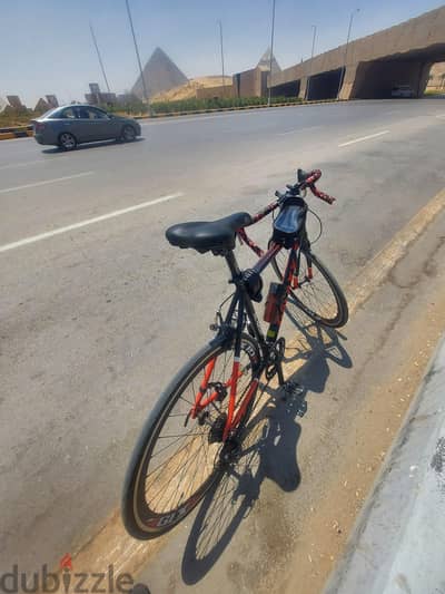 الجيزه