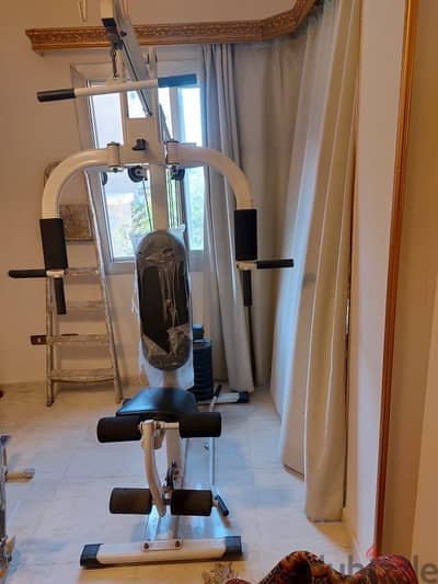 Multiple gyms instrument used