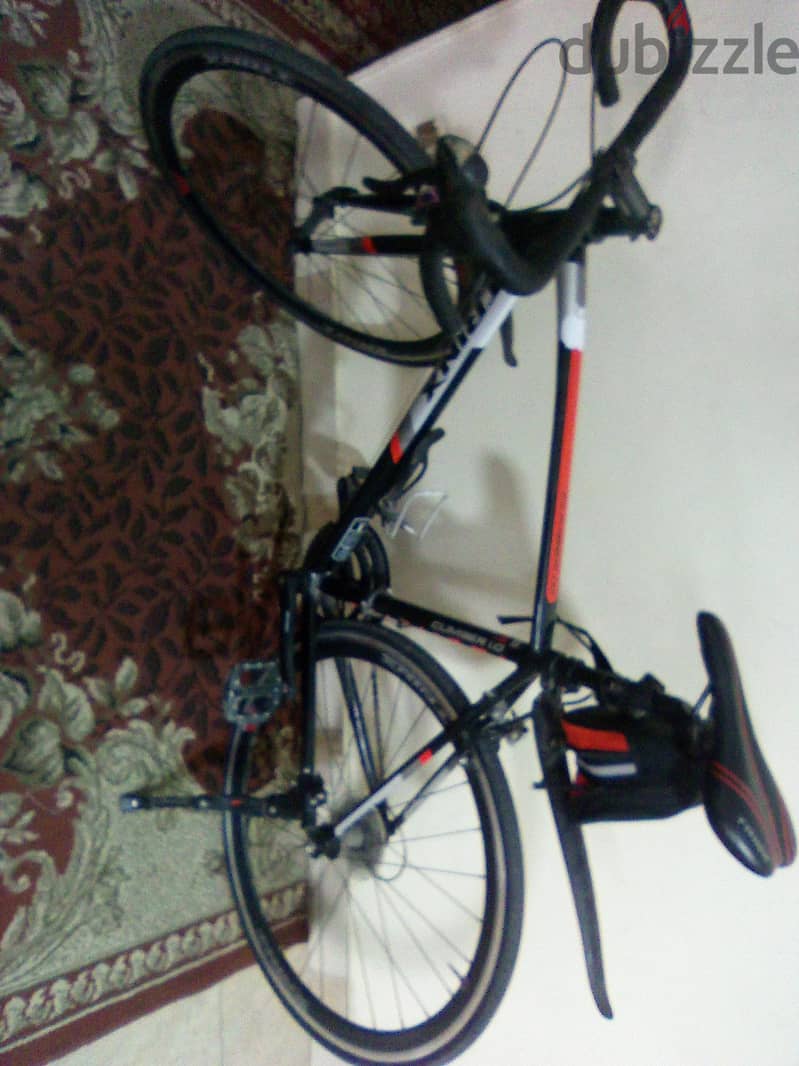 trinx climber 1 1
