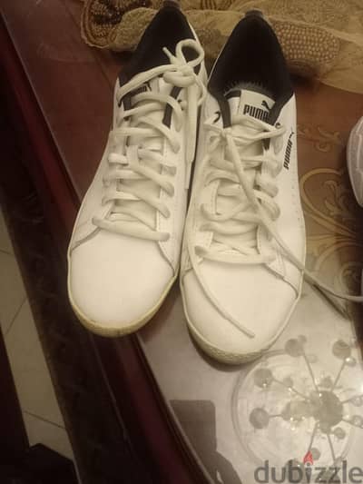 shoes puma اصلي