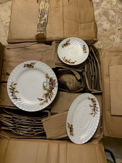 طقم صيني جديد