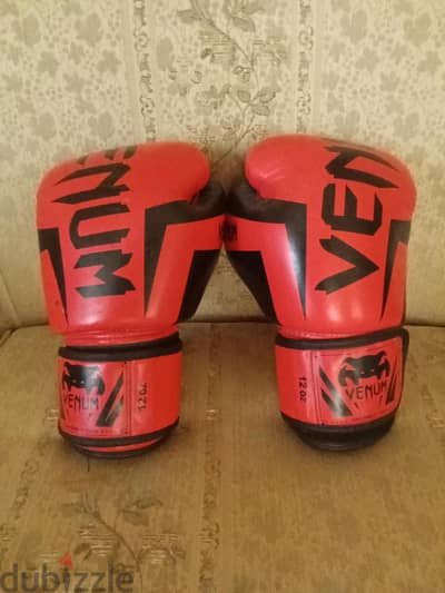 kickboxing gloves