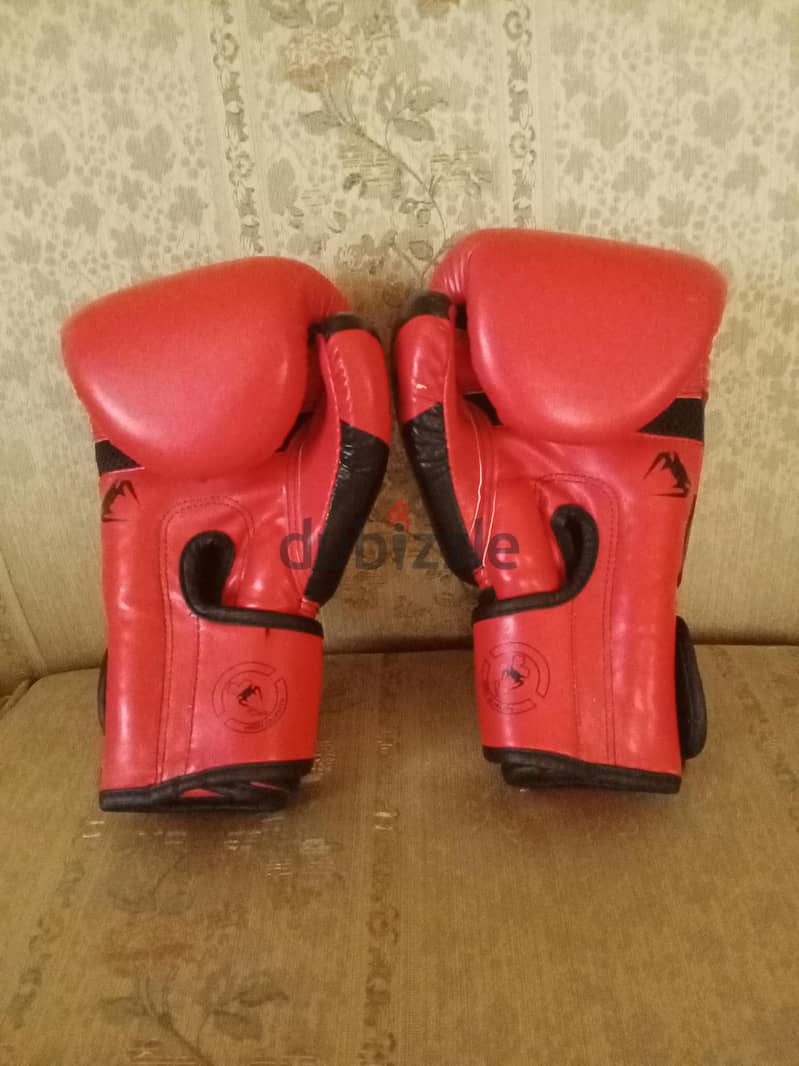 kickboxing gloves 1