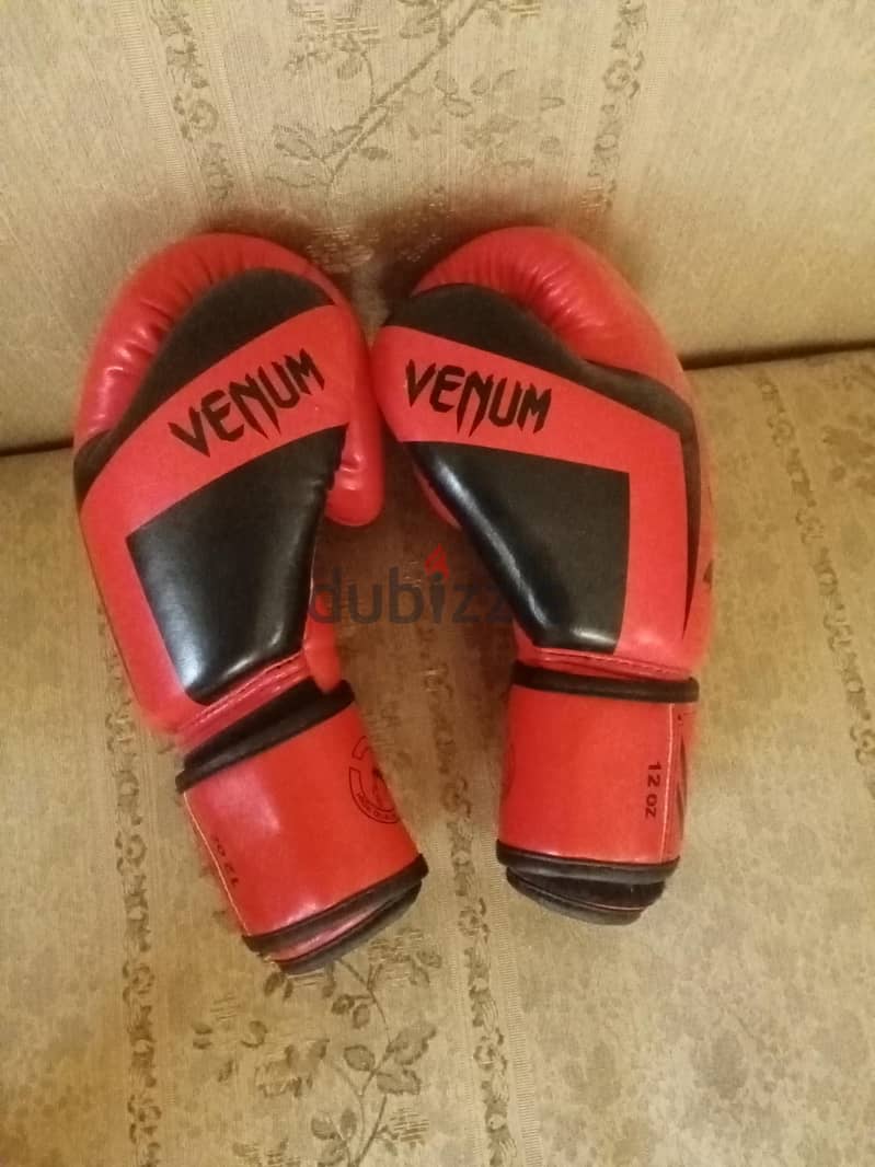 kickboxing gloves 2