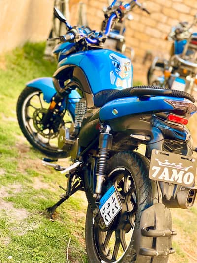 هوجن 2021