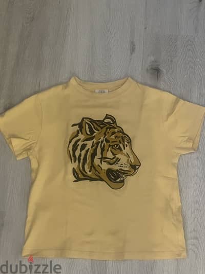 Zara T. shirt