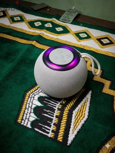 كوبري سليم . الحسينيه .