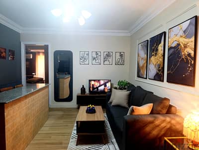 $400 /month, Fully renovated furnished cozy studio downtown