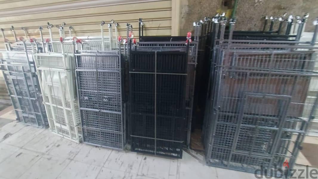 cage parrots 1