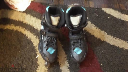 roller skate (cougar 509)