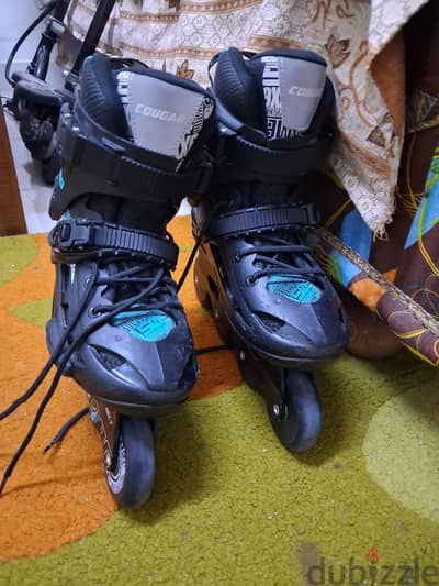 skate  kougar 509