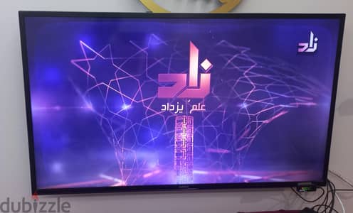 شاشة تلفزيون