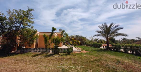 مزرعة  ١ فدان بحمام سباحة كمبوند استيلا ديماري مصر إسكندرية الصحراوي