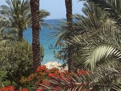 شاليه داخل فندق بالميرا العين السخنه