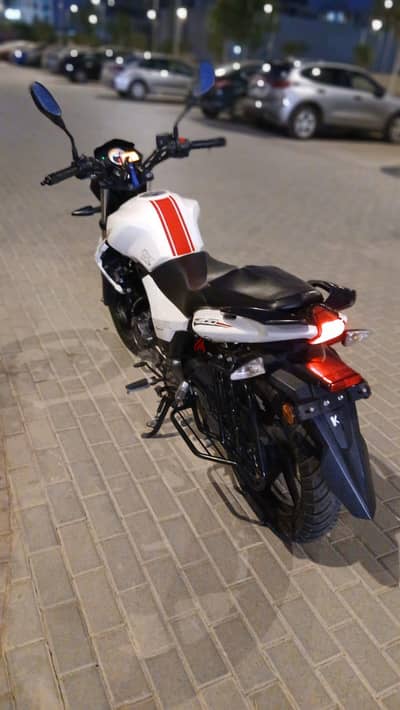 بينيلي 2024