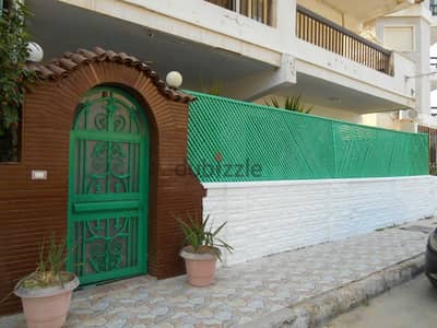 شقة للايجار دور أرضي فى المعمورة الشاطئ