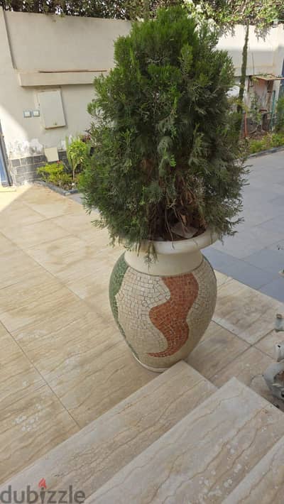 قصاري زرع وحوض خارجي