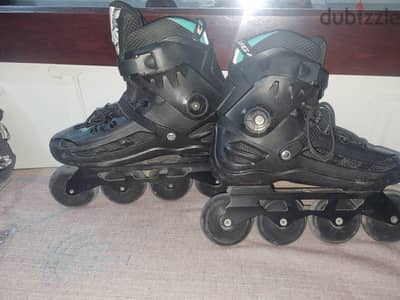cougar 509
