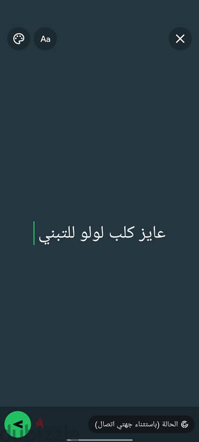 كلب لولو