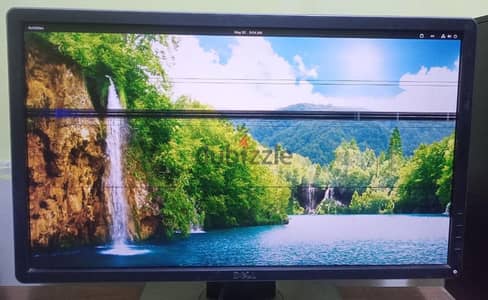 شاشة Dell 24 بوصة (LED IPS)