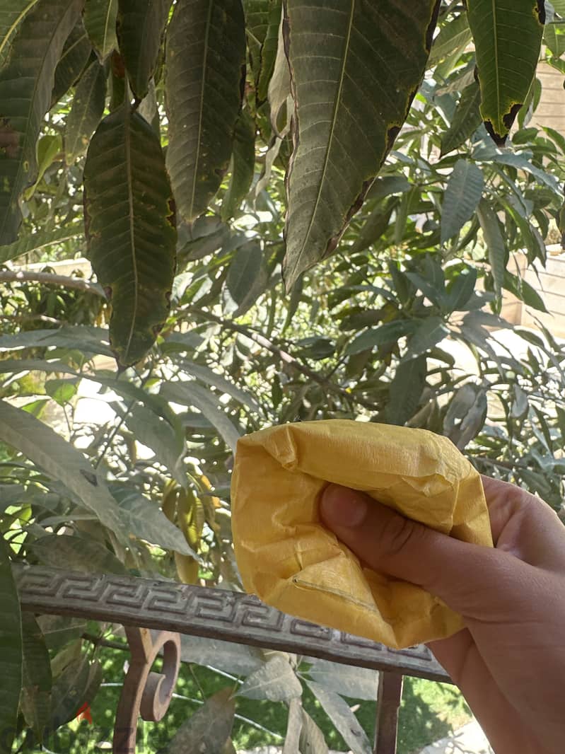 Diy cheese squishy 1