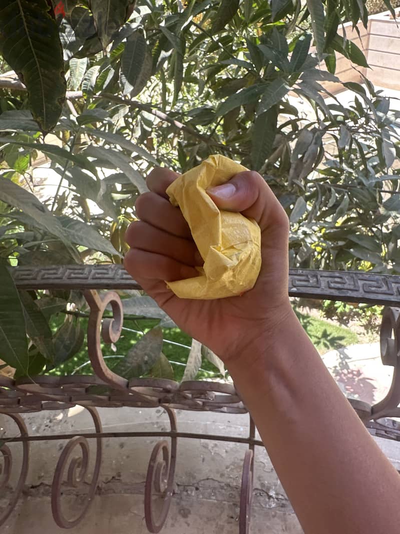 Diy cheese squishy 2