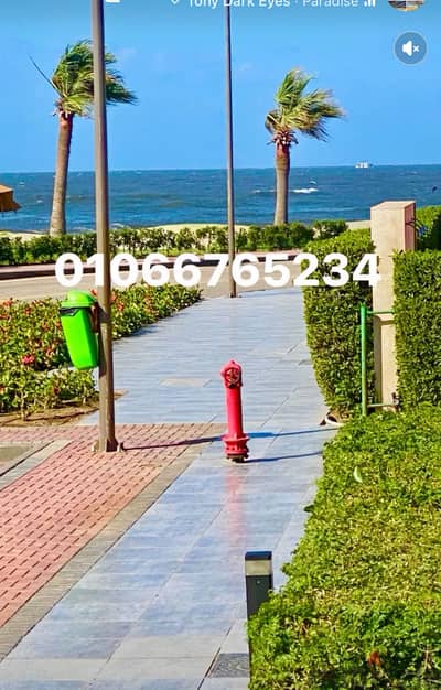 شاليه vipصف اول عالبحرمباشروالبول الرئيسي ارضي بجنينه ٢غرفه٢حمام مطبخ
