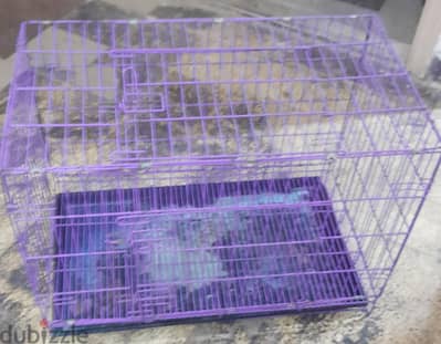 dog cage