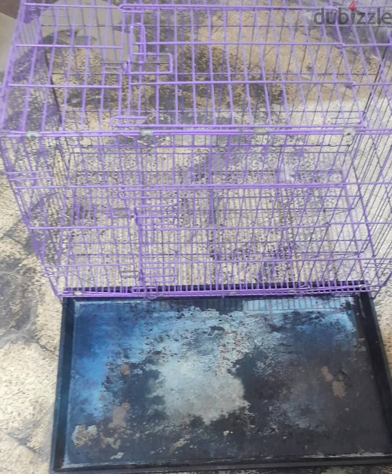 dog cage 1