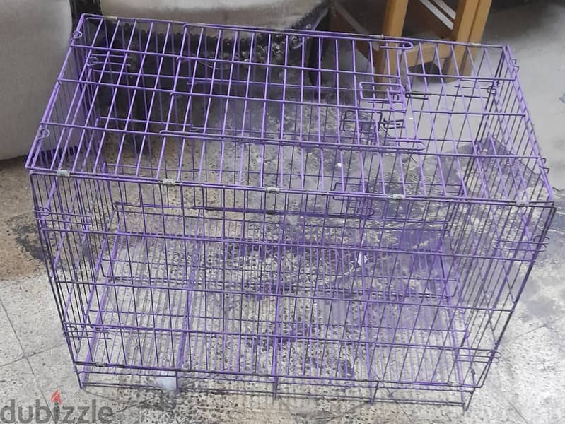 dog cage 2