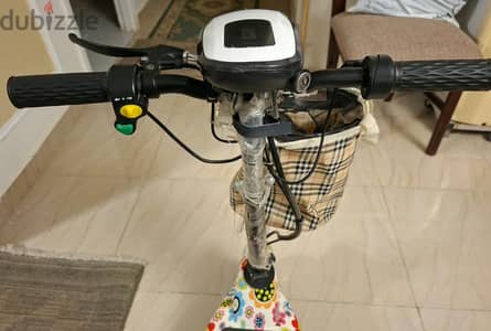 Electric scooter