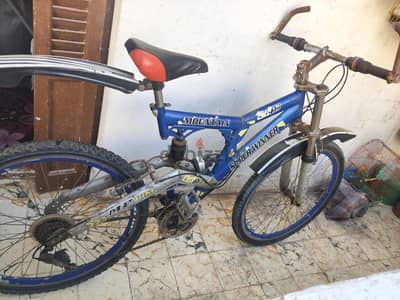 Mountain Bike