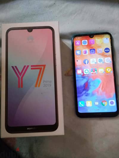 y7 2019 prime