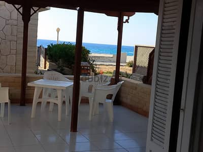 شالية قرية امونAmoun Chale