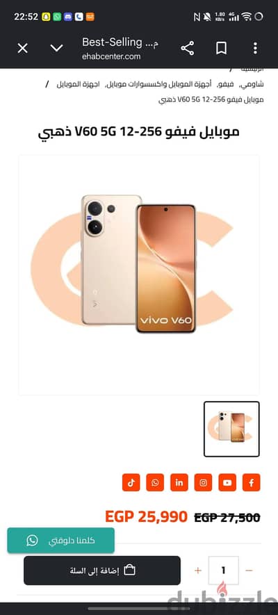 Vivo V60
