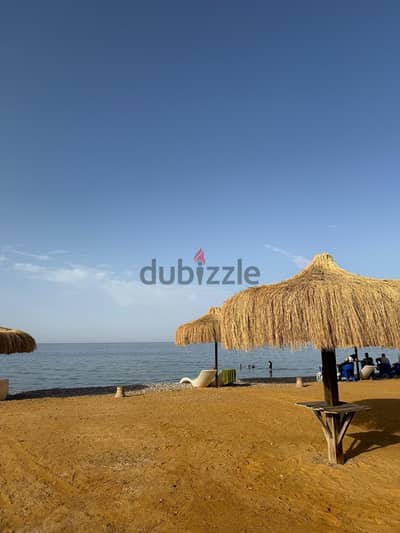 شاليه  فاخر للإيجار اليومي في قرية السخنة هيلز