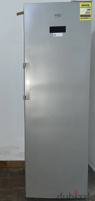Beko freezer model: RFNE312E13S