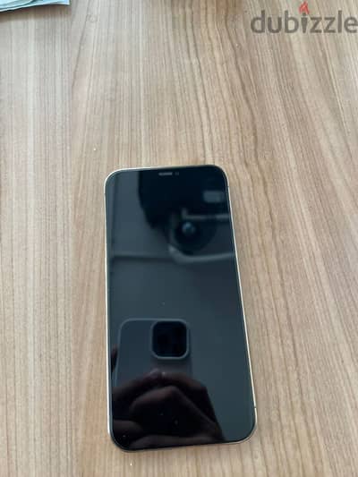 Apple - iPhone 12 Pro Max
