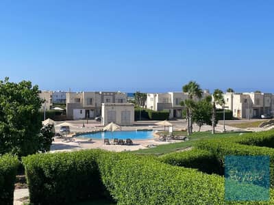 Amwaj Duplex for sale, near Seashell and Hacienda White. Pool-facing, north orientation, 5 minutes from the beach. Market's lowest price.