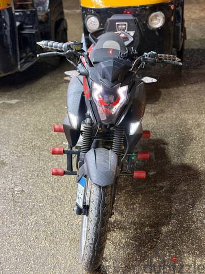 z250هوجن