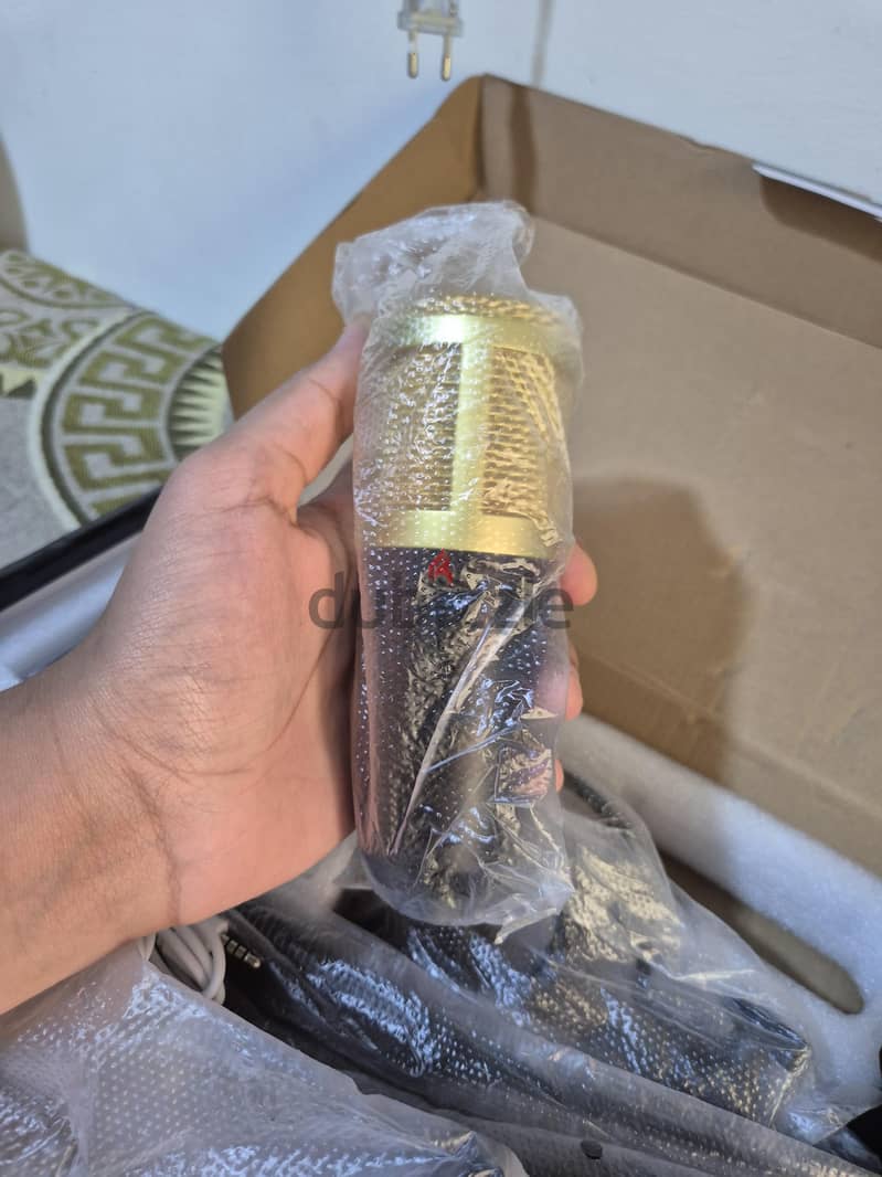 Condenser microphone 1