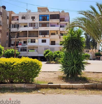 طنطا مساكن الضباط بالتجنيد