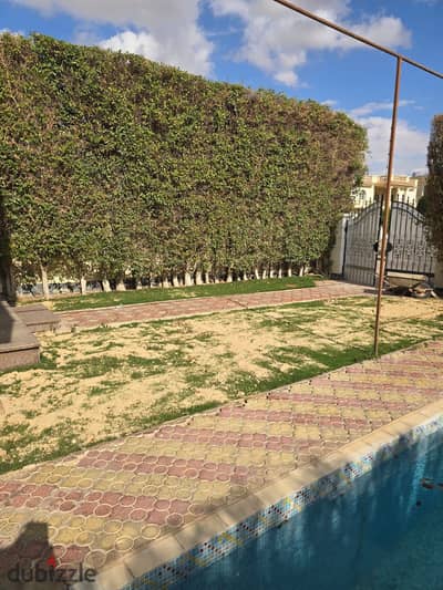 للايجار شقة ٣٠٠م بالمطبخ والتكيفات اول سكن دور اول بأرقى احياء الشيخ زايد الحى السابع فيلات