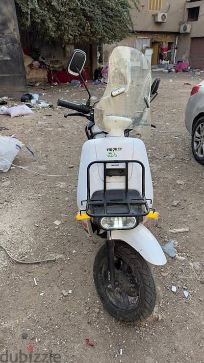 المعاهدة طنطا